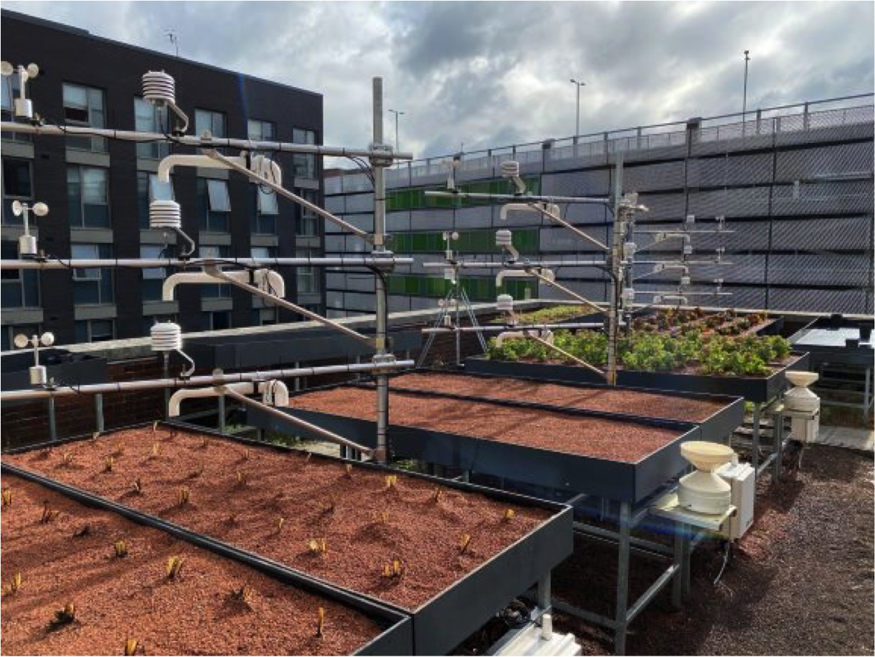 Green Roof Monitoring